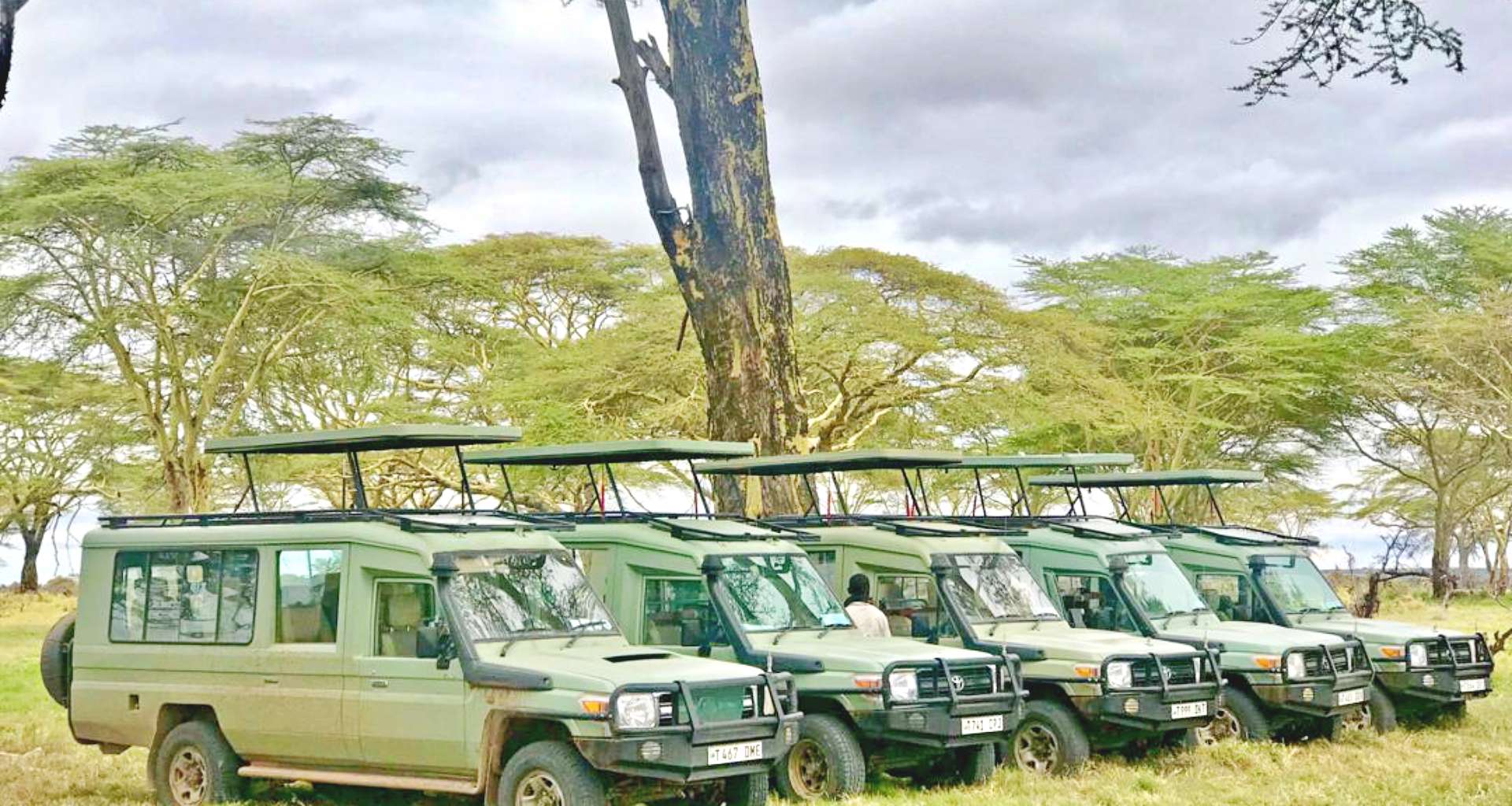 Book a safari in Tanzania with Utukufu Travels