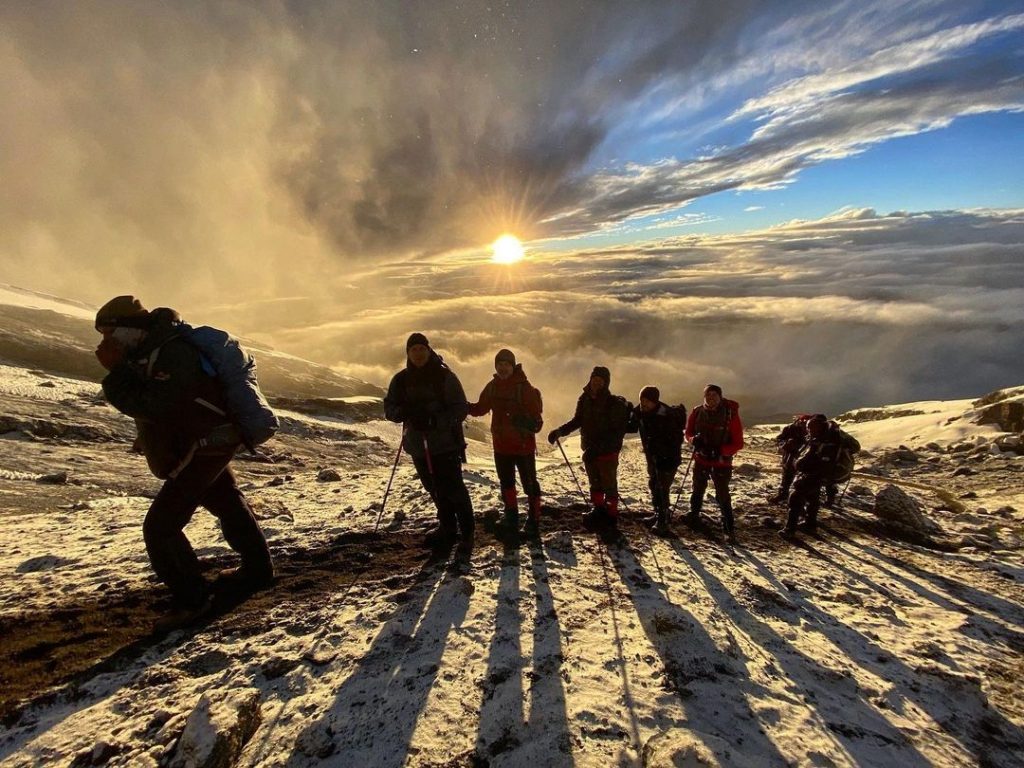 Trekking Safari