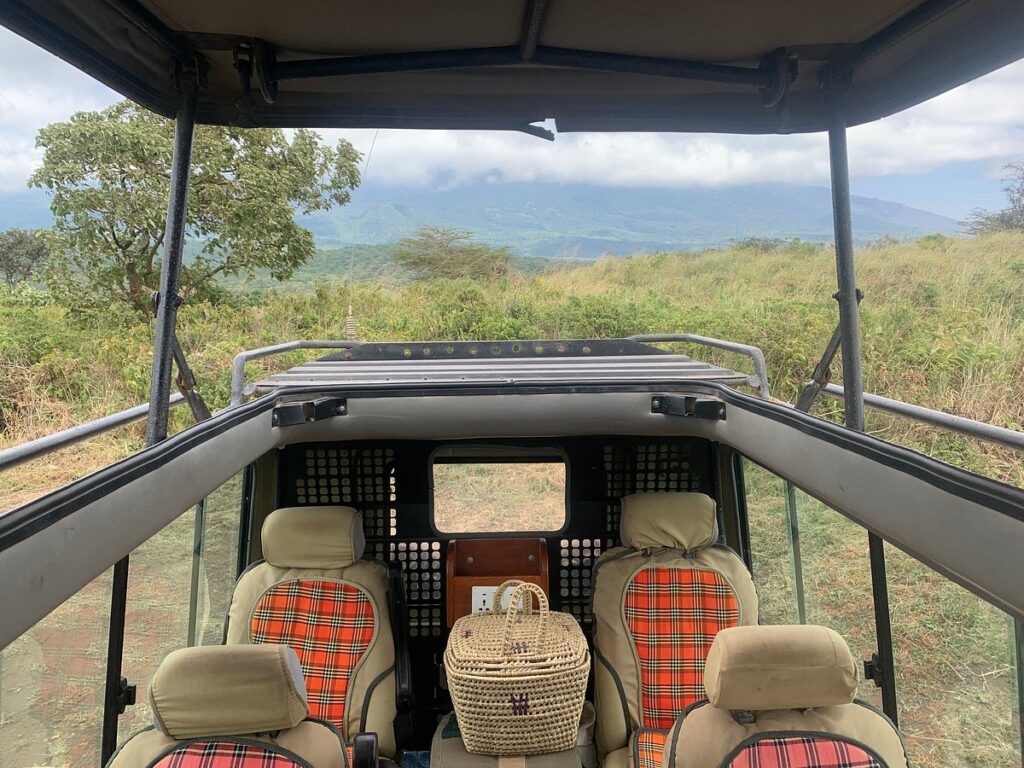 Safari vehicle
