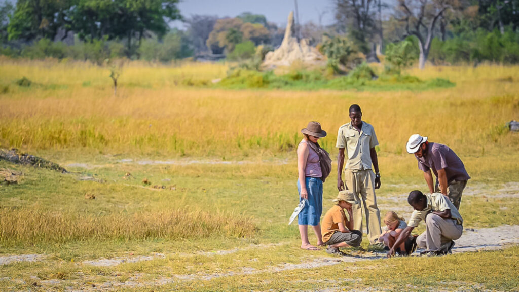 Family Safari