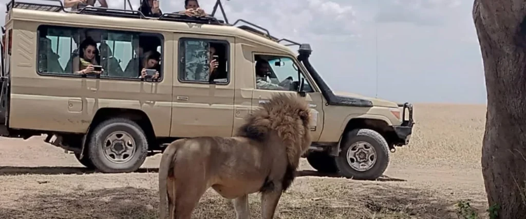 Safari vehicle