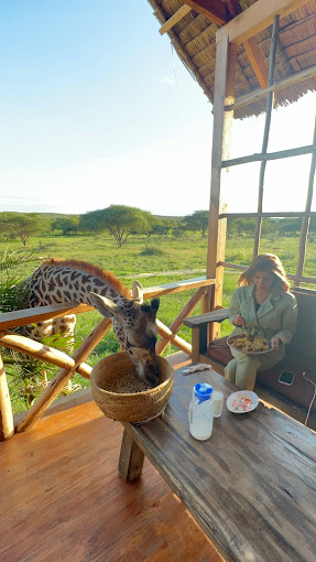 Serval Wildlife Day Trip