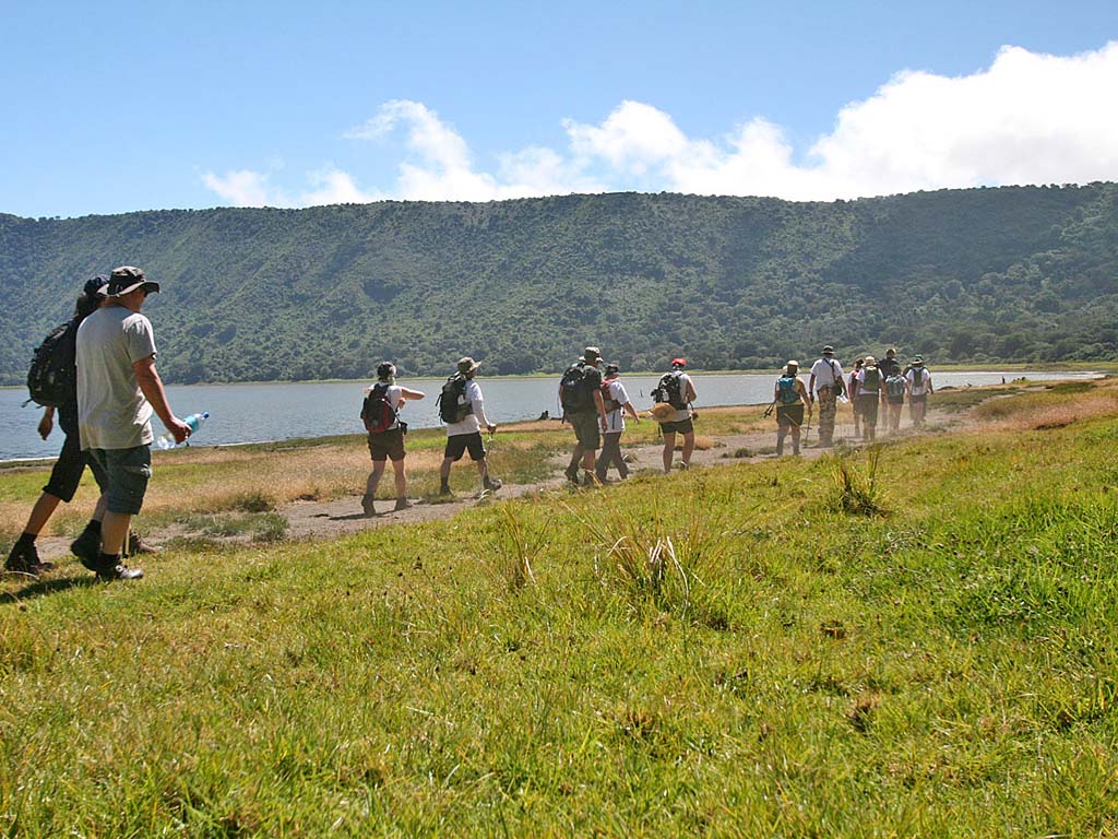 Tarangire & Ngorongoro