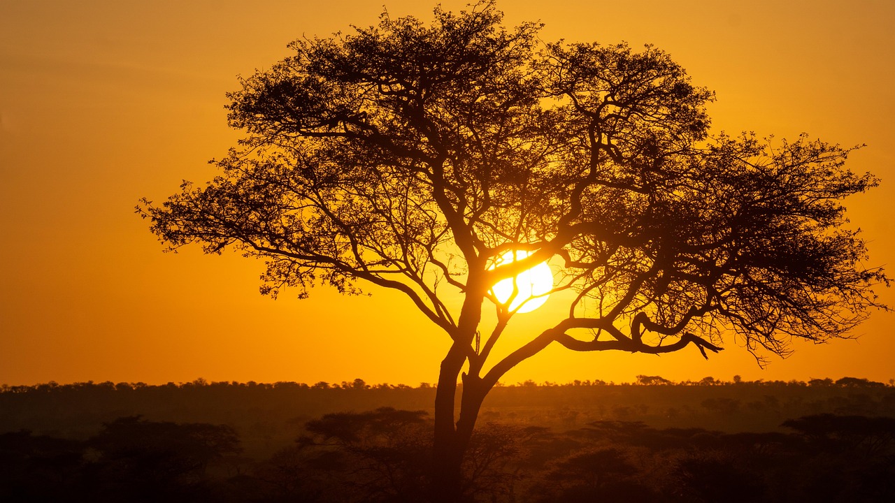 Tarangire National Park – Utukufu Travels