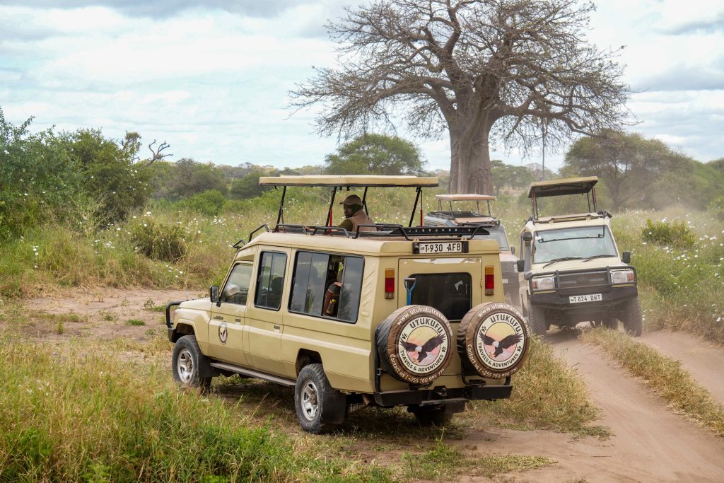 Tarangire safari photo with Utukufu Travels