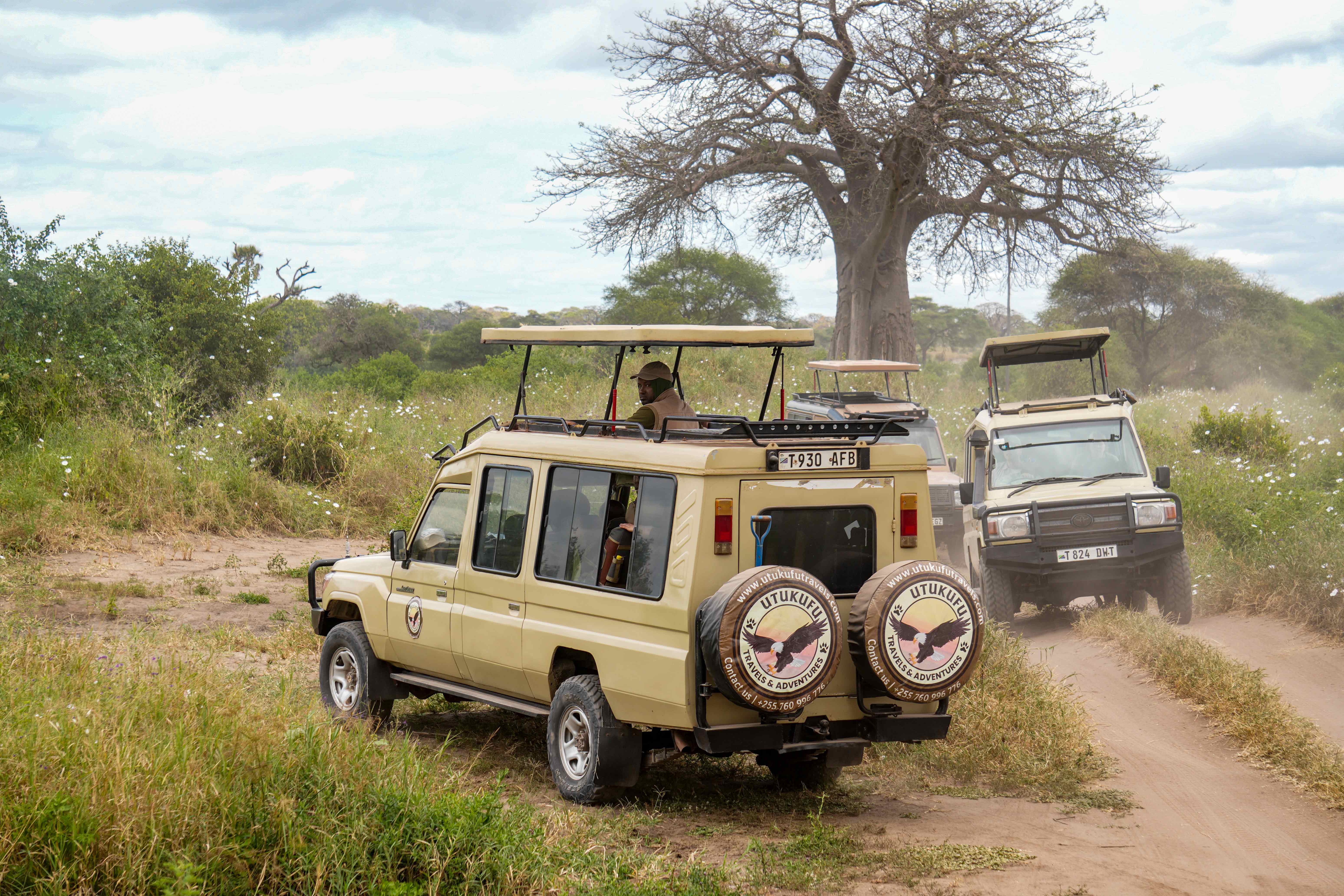 Game Drives