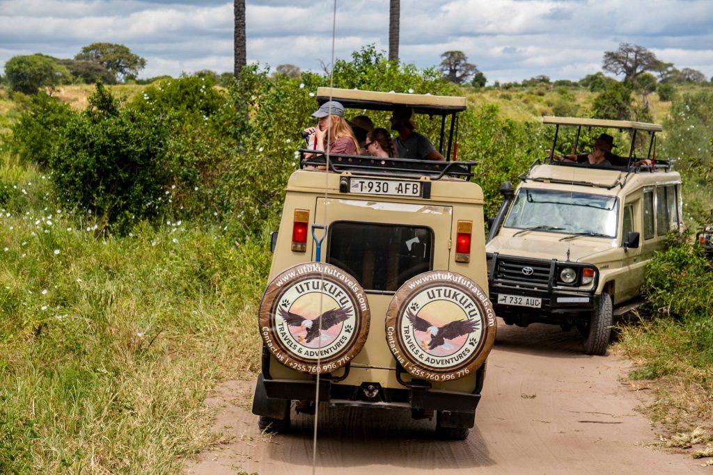 Tarangire safari photo with Utukufu Travels