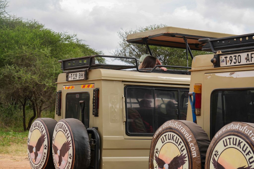Tarangire safari photo with Utukufu Travels