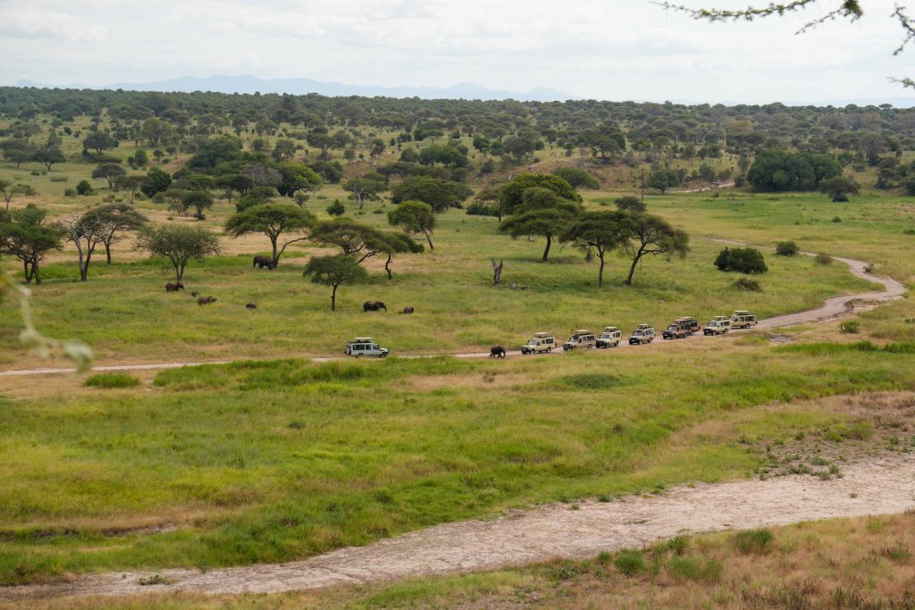 Tarangire safari photo with Utukufu Travels