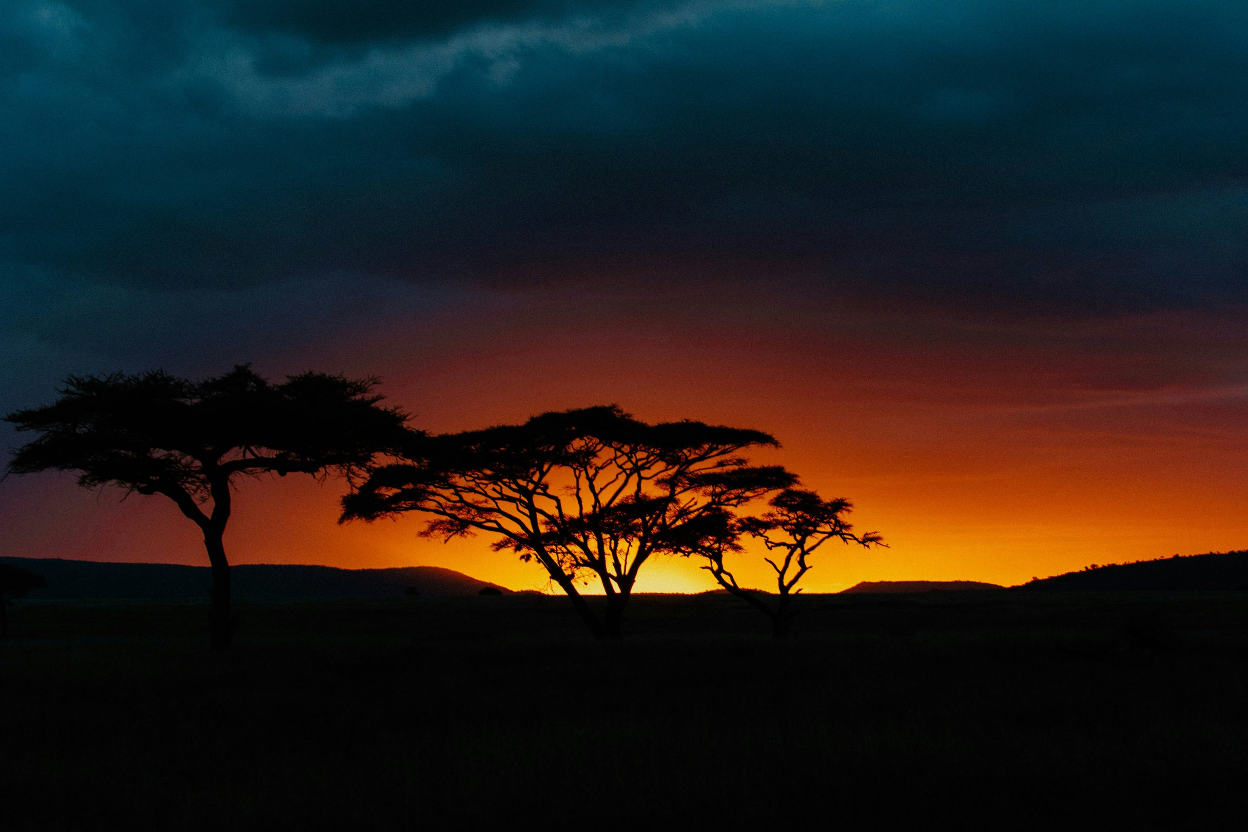 Ngorongoro to Arusha — Departure – 10-Day Serengeti Migration & Lake Natron Safari