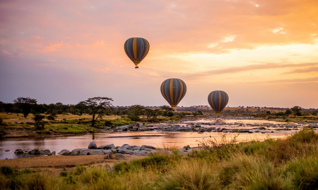 What Should I Know Before Going on a Tanzania Safari?